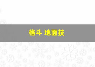 格斗 地面技